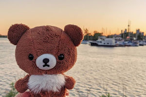 Meet your Posher, Frank hoa